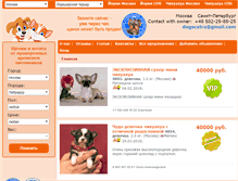 Tablet Screenshot of dogscat.com